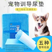 Chó nước tiểu pad tã tã Teddy cat puppy dày khử mùi 100 viên thấm mat vật nuôi - Cat / Dog Beauty & Cleaning Supplies