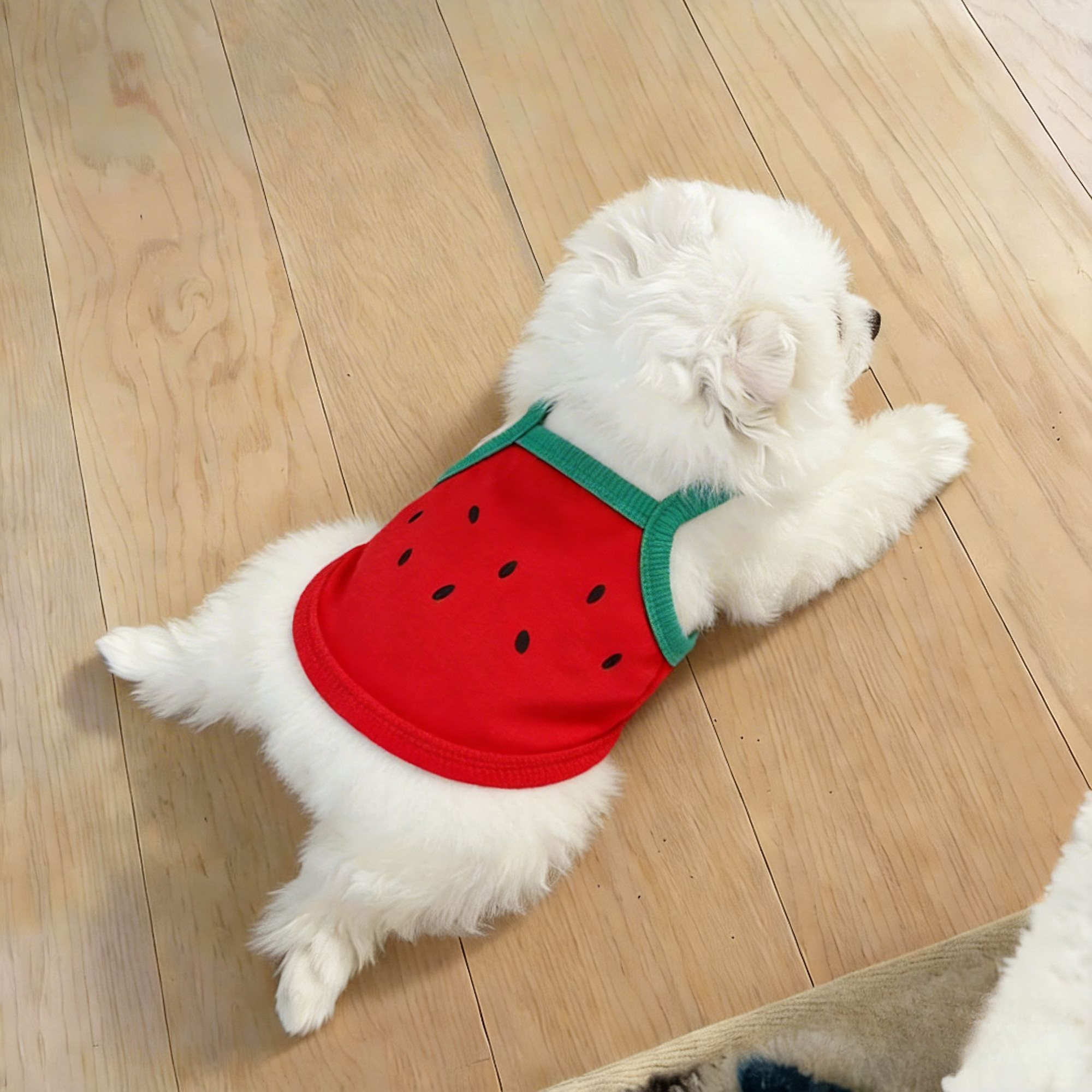 夏季西瓜造型狗狗背心宠物服装可爱T恤小狗猫咪衣服薄款透气吊带