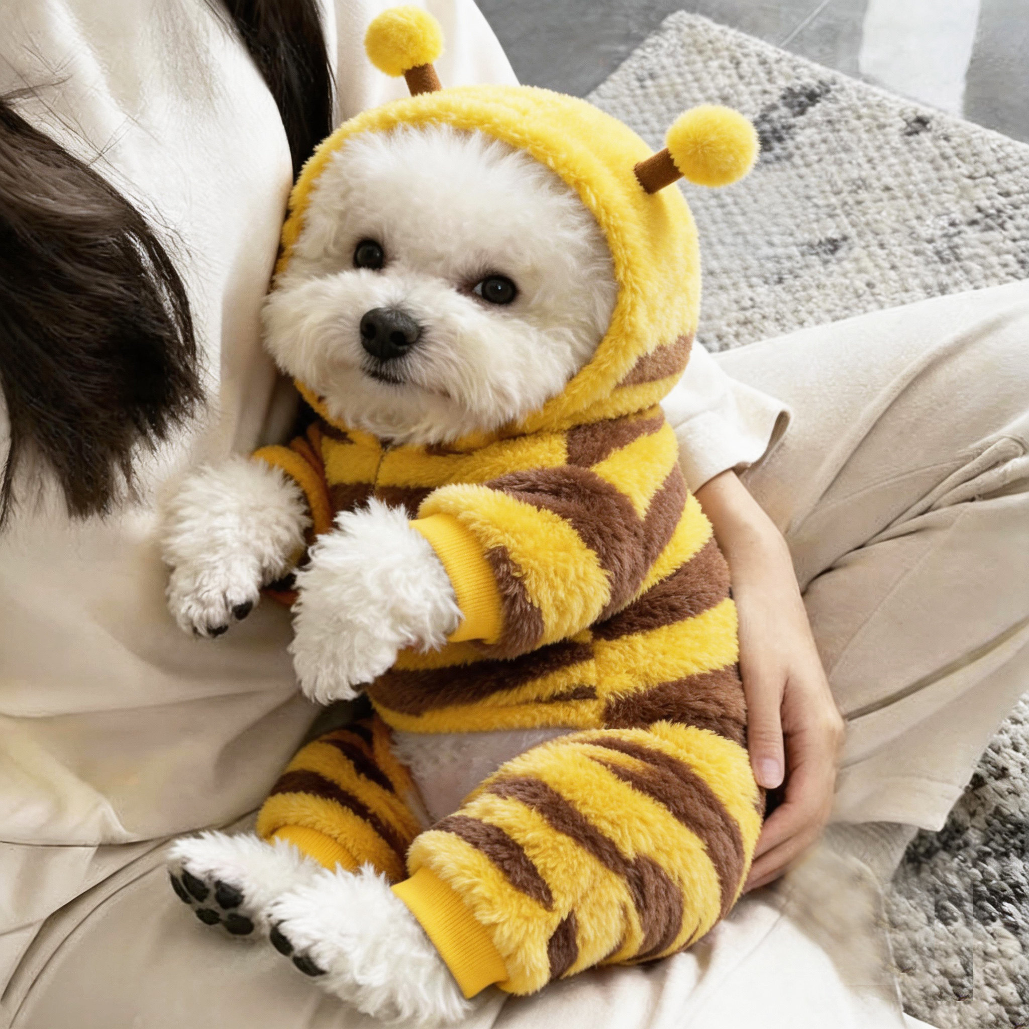 狗狗衣服秋冬装蜜蜂变身装泰迪比熊博美小型犬宠物猫咪保暖四脚衣