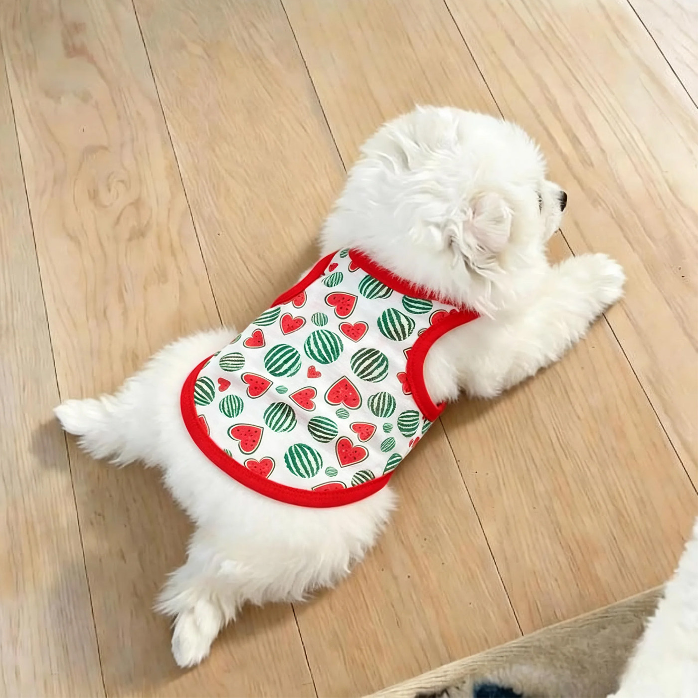 夏季西瓜造型狗狗背心宠物服装可爱T恤小狗猫咪衣服薄款透气吊带