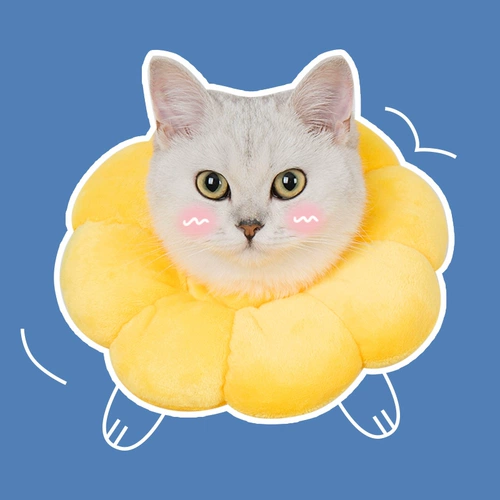 Подсолнечник Elizaba Circle Cat Circle Circle Cat Cat Dog's Dog Set Set Anti -Bite и Licks Locked Circle Supplies