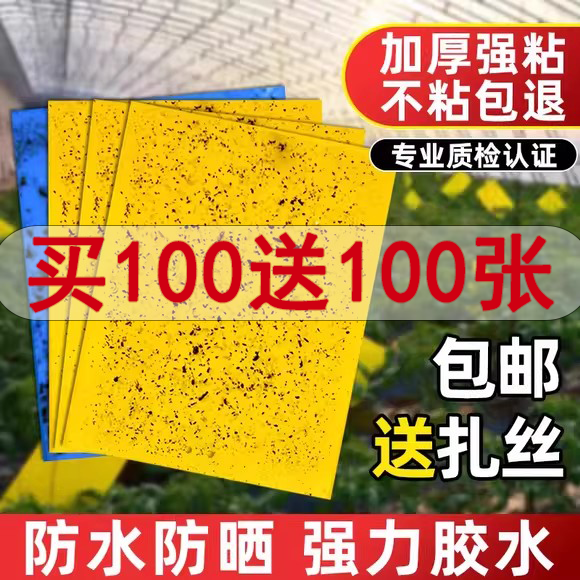 粘虫板黄板双面诱虫板贴纸灭小飞虫黏果蝇诱蚊子苍蝇捕器果园大棚