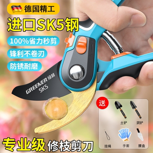 德国园艺剪刀修枝剪树枝专用剪刀修剪果树修枝花剪树枝园林花卉