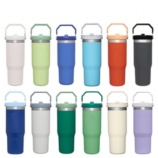 Stainless Steel Tumbler Straw Cup Ice Coffee Water Bottle