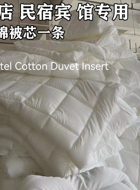 Hotel Cotton Duvet Insert Quilt Inner Comforter Core Double