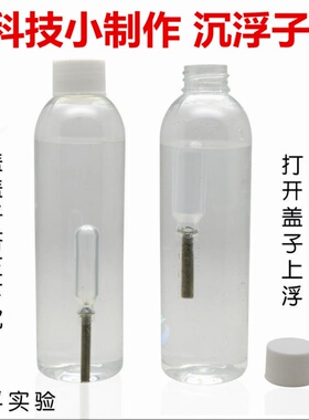 沉浮子 科学实验器材 科技小制作diy 科普玩具幼儿园手工制作材料