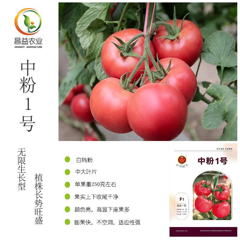 中粉1号番茄种子 中研益农越夏耐热西红柿白转粉抗病毒粉果番茄种