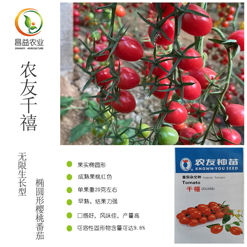 农友千禧桃红色番茄种子图片