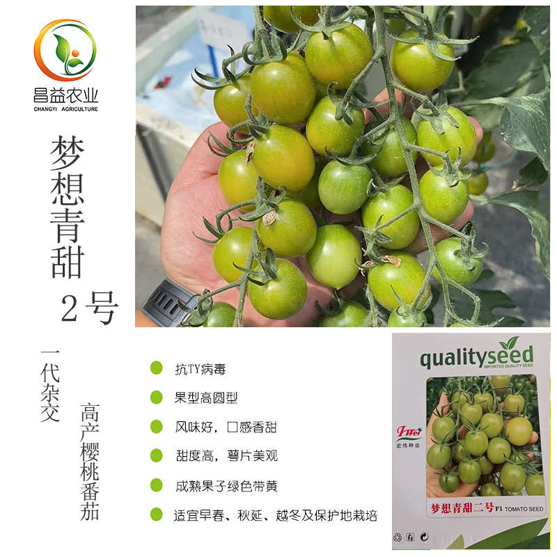 梦想青甜二号绿色樱桃番茄种子
