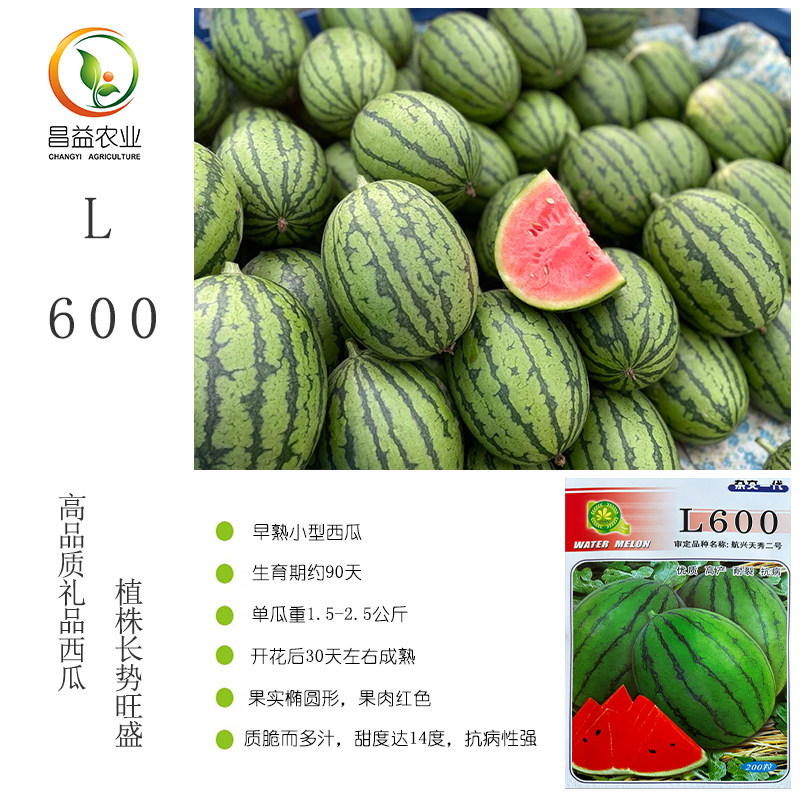 L600礼品西瓜种子甜度高耐裂