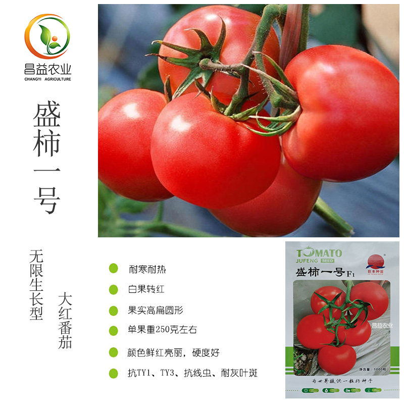 盛柿一号大红番茄种子籽 耐热耐寒 高硬度 抗病毒 大红番茄种子籽