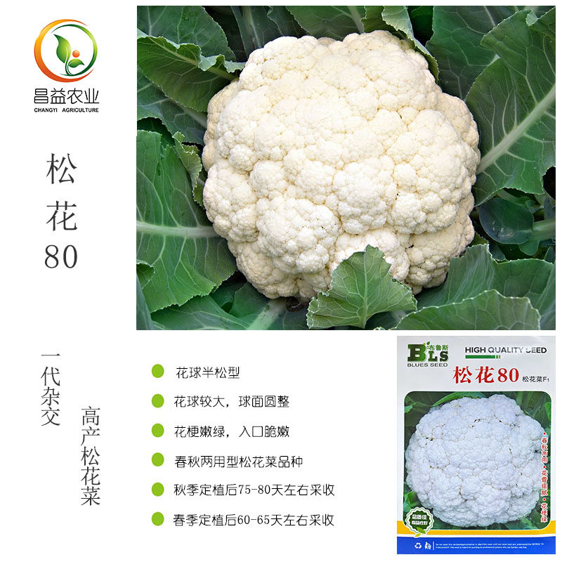 松花菜种籽街 松花80白面青梗有机花菜种子春秋花椰菜白花菜种子,农用物资,蔬菜种子/种苗,淘宝优惠券,粉丝福利购,淘宝优惠卷
