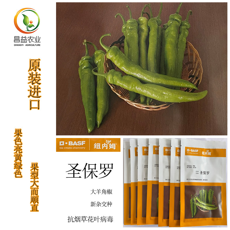 原装进口纽内姆圣保罗羊角椒种籽黄绿皮辣椒尖椒羊角椒杂交种子孑
