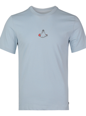 Nike耐克男子AS M NK SB TEE STORKT恤BV0104-430