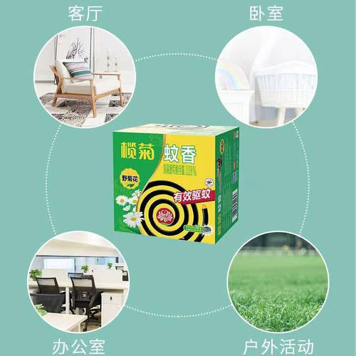 榄菊加大盘野菊花蚊香10圈/盒