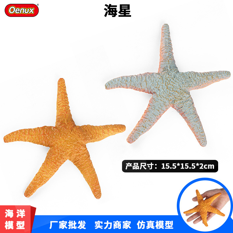 跨境儿童实心仿真海洋动物玩具模型海星长棘海星棘皮动物认知