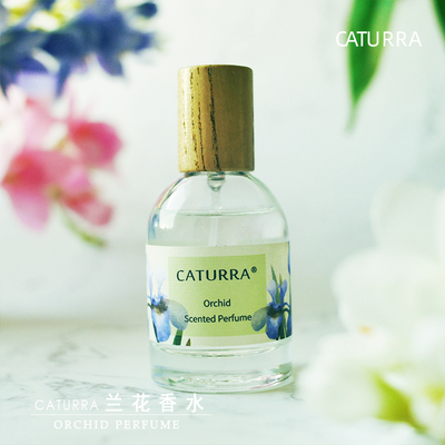 墨兰素心兰建兰清新持久淡香自然