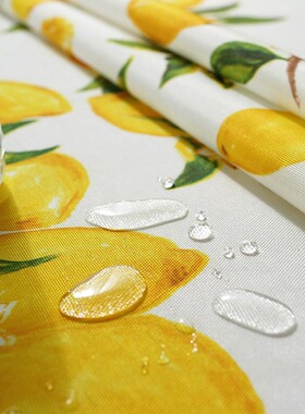 北欧防水拍照装饰桌子餐垫幼儿园书桌桌布罩水果花卉摆摊野餐布