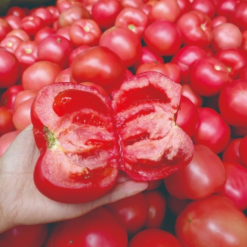 四川攀枝花西红柿新鲜现摘生吃水果露天沙瓤自然冬瓜整箱当季,水产肉类/新鲜蔬果/熟食,黄瓜,淘宝优惠券,粉丝福利购,淘宝优惠卷