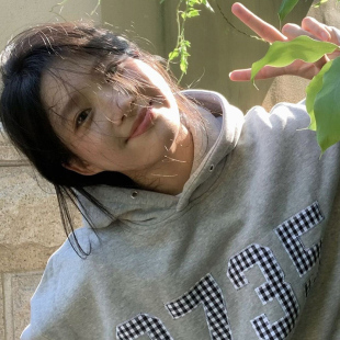 设计感情侣装 新款 上衣服 复古格子贴布绣卫衣女连帽2024秋冬季 美式