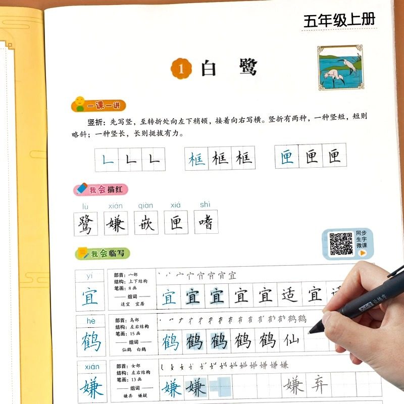5年级练字字帖硬笔楷书书法临摹描红本生字词语天天练习册一课一练