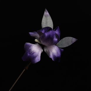 【紫白鸢尾】国风非遗传承绒花胸针汉服旗袍鸢尾花饰品送礼物胸花