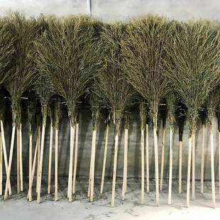 大扫帚竹子庭院扫地笤帚扫院子扫马路户外环卫竹扫把车间学校笤帚