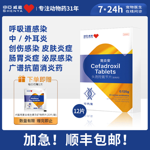 申亚威能宠物猫咪消炎药狗狗感冒咳嗽药皮肤尿路感染中耳炎头孢片