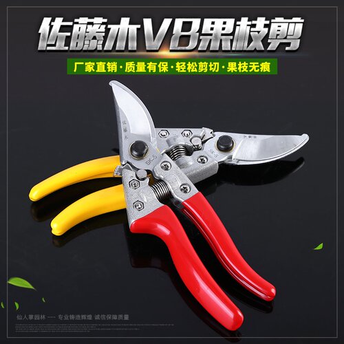 果枝剪枝佐藤木v8修枝剪果树环割剪不锈钢园艺剪修枝剪果枝剪