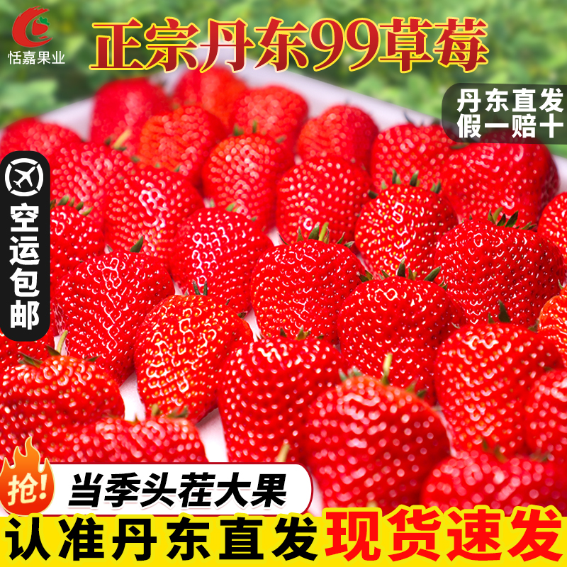 【回购TOP榜】现货丹东99草莓