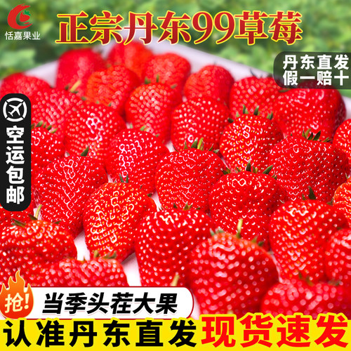 【回购TOP榜】现货丹东99草莓