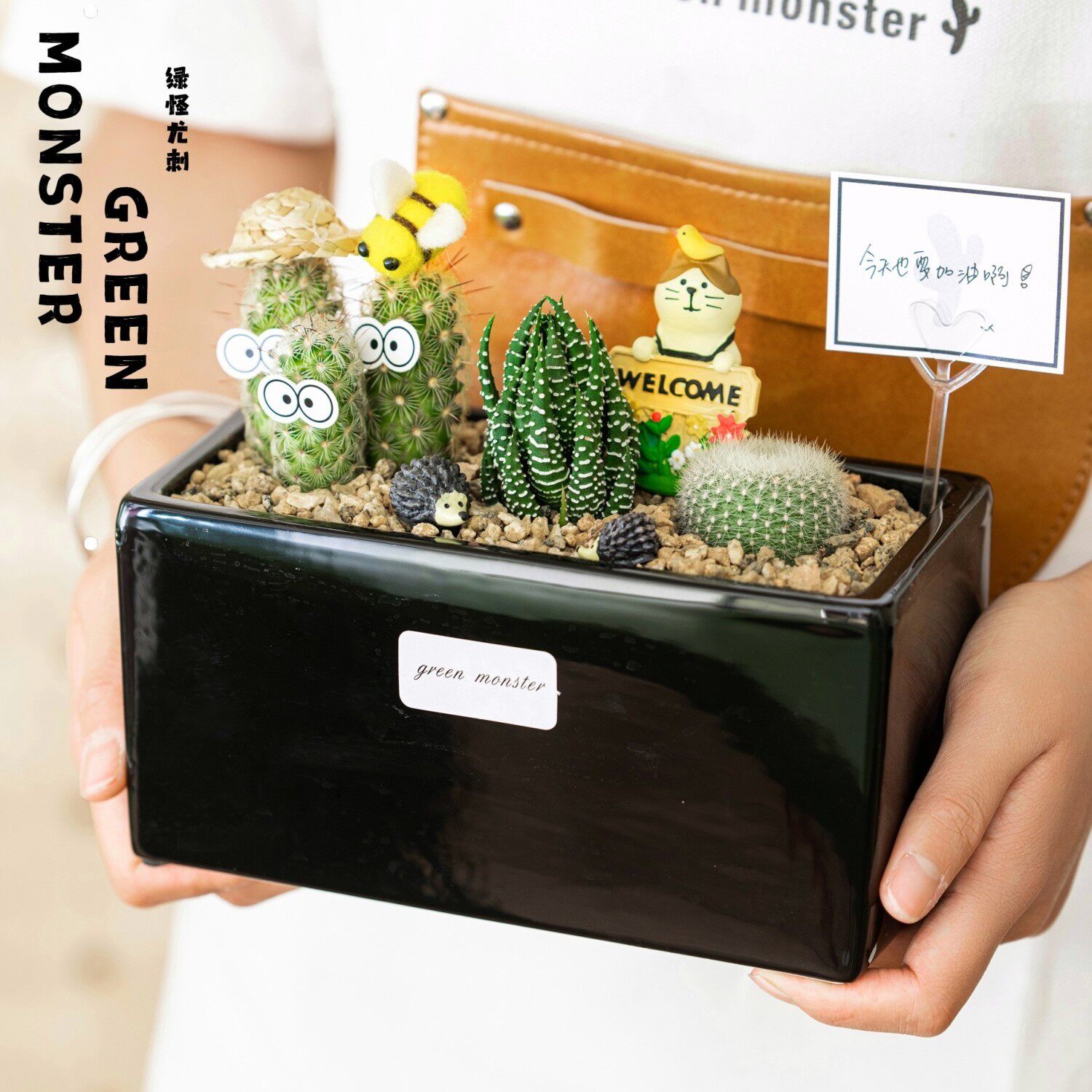 ins 创意超萌礼品礼物 办公室桌面diy多肉植物组合盆栽拼盘