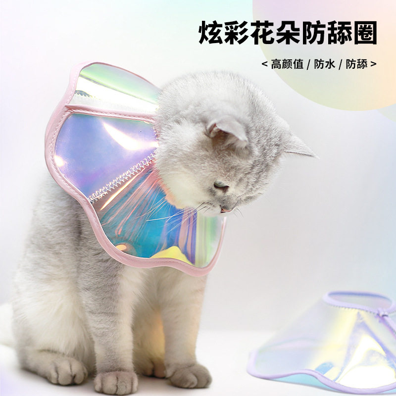 宠物炫彩花朵防舔PVC脖圈防水防咬猫头套不影响进食易清洗术后头,宠物/宠物食品及用品,宠物伊丽莎白圈,淘宝优惠券,粉丝福利购,淘宝优惠卷