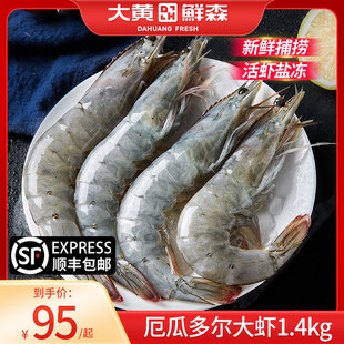 大黄鲜森厄瓜多尔大虾1.4kg白虾冷冻虾鲜活速冻对虾海鲜水产鲜活