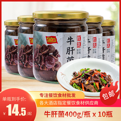 牛肝菌酒店饭店预制食材半成品菜