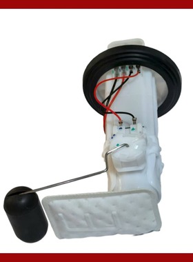 适用于电喷EM80906-CU摩托车汽油泵总成南方YMH燃油泵 电机马达