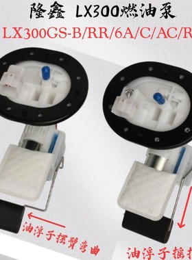 隆鑫LX300-6A-6C燃油泵无极300RR/GS-B复古300AC摩托车汽油泵电机