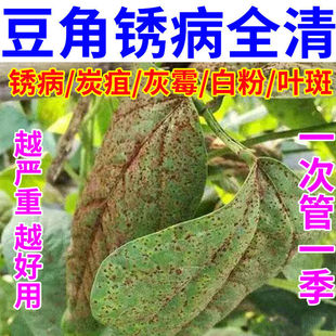 豆角专用药杀菌剂豆角锈病炭疽病叶斑病白粉病疫病豆角病全治农药