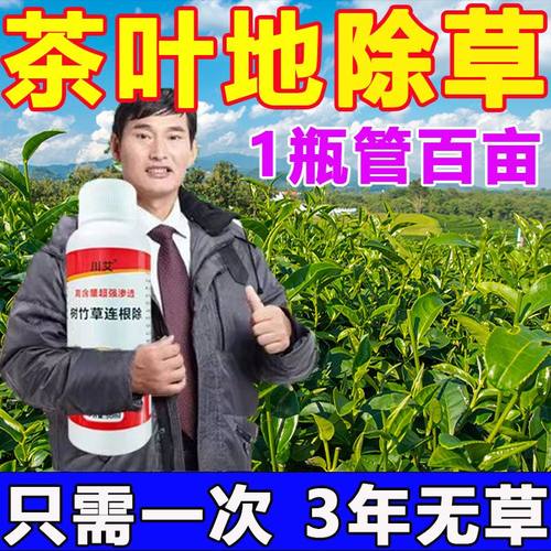茶叶地除草专用剂烂根药不伤苗除草神器连根烂三年不长草一扫光