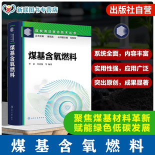 煤基含氧燃料 煤炭清洁转化技术丛书 醇类醚类与酯类燃料合成原理 催化剂制备指南 生产工艺与工业化应用 煤化工研究科研参考丛书