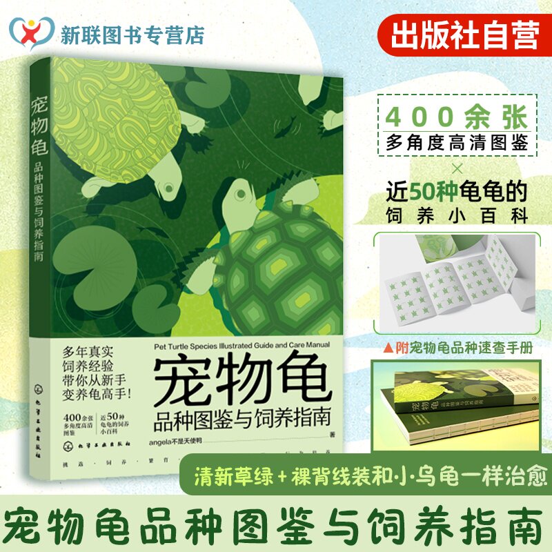 宠物龟品种图鉴与饲养指南