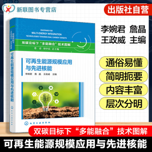 主要技术清单及发展路线图参考书 可再生能源及先进核能领域科技创新 可再生能源规模应用与先进核能 双碳目标下多能融合技术图解