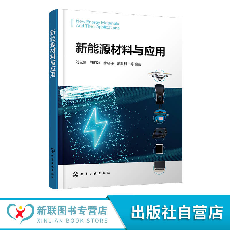 新能源材料与应用 新能源材料的基础和先进表征技术 电化学能源材料基本原理与内在规律 研究方法及科技前沿 材料化学领域人员书籍