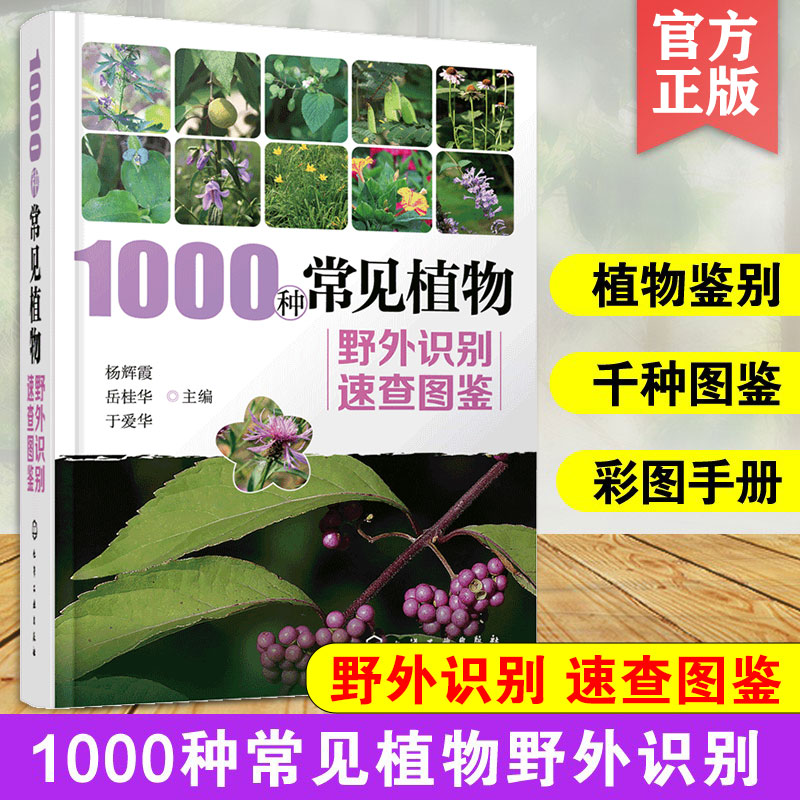 1000种常见植物野外识别速查图鉴  图解中草药大全 家庭图书籍野外识别原植物鉴别图册中国常用手册 图识别与应用图典图谱