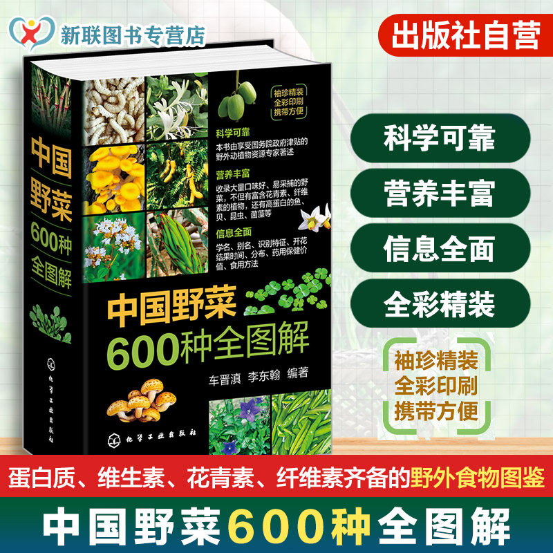 便携小开本 中国野菜600种全图解 野生植物分布食用方法药用保健特征识别科普读物彩色图鉴 药食同源健康饮食营养食疗养生一本通书