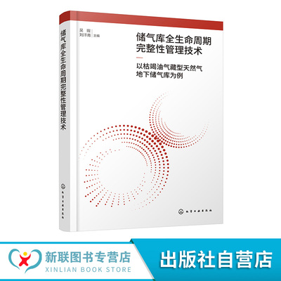 储气库全生命周期完整性管理技术 以枯竭油气藏型天然气地下储气库为例 地下储气库事故统计与分析 完整性管理体系监测方法参考书