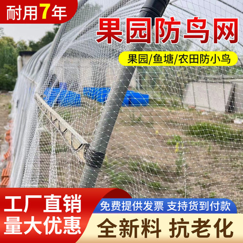 全新料果园防鸟网厂家直销抗老化