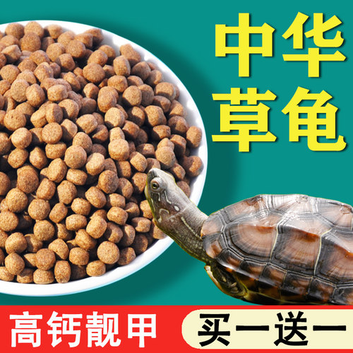 天然食材 营养配方 鱼虫面包虫
