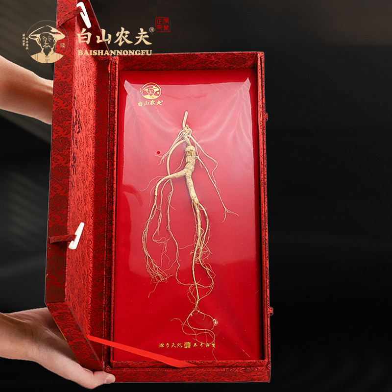 白山农夫人参山参林下参礼盒东北长白山山参整枝生晒参单支礼盒装