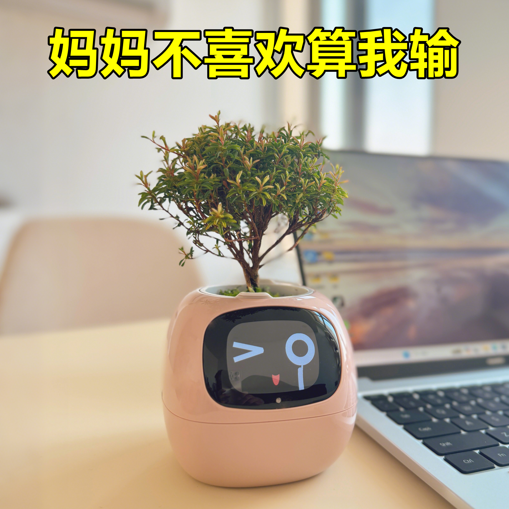 妈妈不喜欢算我输的生日礼物